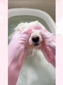 VOA | Pet Bathing Gloves for Cats and Dogs Scratch Proof