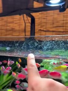 VOA | Detergent for Aquariums Glass Cleaning Water Stain Remover Water Scale Cleaner Water Purifier