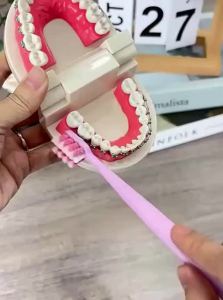 YIYANSENLIN | Orthodontic Toothbrush for Brackets