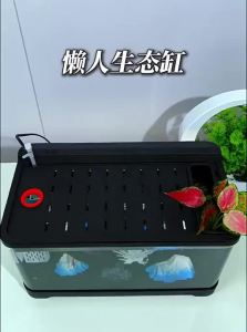 HUICHONG | New Small Aquarium With Filter And Oxygenation Desk