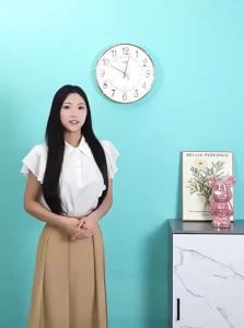 Compas | Quiet Fashionable Minimalist Wall Clock