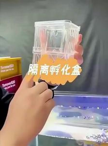 NAICHONG | Fish Egg Incubator Breeding Box