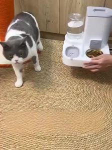 HELLOLEIBOO | Automatic Feeding and Drinking Pet Bowl