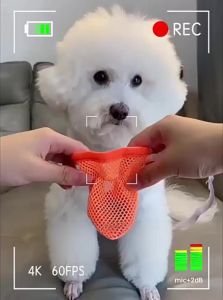 VOA | Comfortable Soft Sole Non-Removable Pet Shoes for Small Dogs