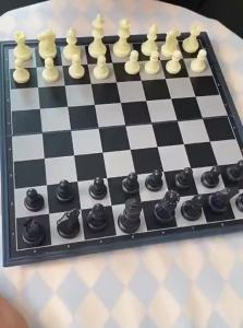 SHENWO | Magnetic Chess Set for Elementary School Students Portable Folding Chess Set