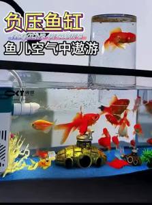 HUICHONG | Filter Oxygen Integrated Desktop Aquarium
