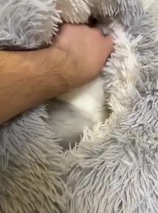 7o | Winter Cat Nest for Sleeping
