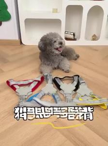 7o | Chest and Back Adjustable Dog Leash for Small and Medium Dogs