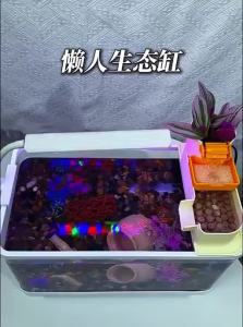 KUOTING | Traditional Desktop Small Aquarium Automatic Filter Oxygen Machine