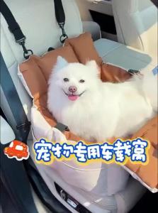 QUEES | Pet Bed & Safety Car Seat