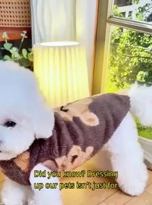 VOA | Festive Pet Clothes