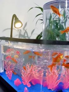 KUOTING | Eco-scenery Filter Oxygen Integration Fish Tank Small