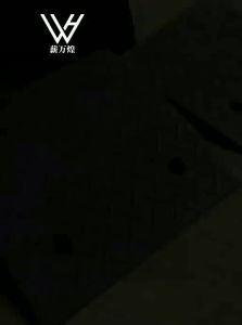 XINWANHUANG | Curbside Threshold Ramp for Vehicles