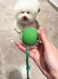 7o | Durable Automatic Ball Dog Toy