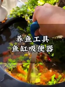 VOA | Cleaning Fish Tank Waste Remover Manual Siphon