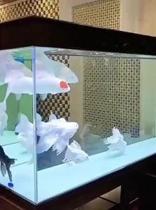 VOA | Water Purifier for Aquarium with Water Cleaning Purification Deodorization and Nitrifying Bacteria