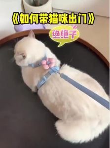 FEIZHUXIANSEN | Escape-Proof Cat Leash