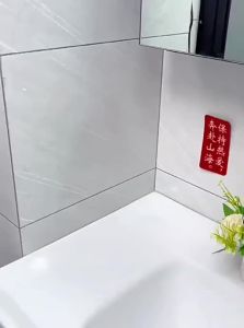 Luxurious Suction Cup Toothbrush and Toothpaste Storage Basket