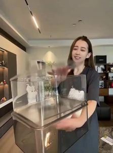 Flip-top Transparent Acrylic Dust-proof Storage Box
