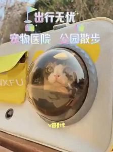 HUIYIMU | Large Capacity Portable Pet Carrier