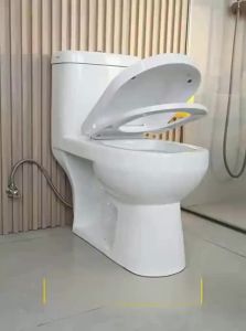 TAOSHI | Thickened Slow Close Toilet Seat Cover