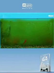 Yee | Bacterial House Biofilm Filter Material