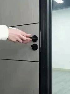 FALEISTON | Smart Biometric Office Door Lock