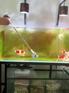 VOA | Fecal Cleaning Algae Scraper No Dead Corners Long Handle