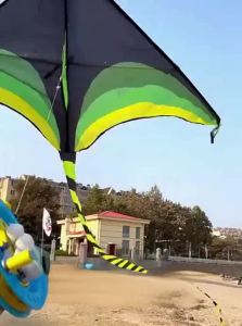 SHENWO | Professional Grade Kite for Adults and Children Easy to Fly