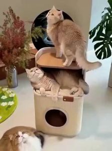 HOOPET | Compact All-Season Indoor Cat Tree House & Nightstand