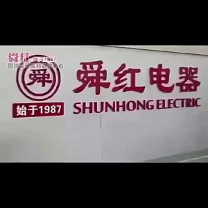 SHUNHONG | Voltage Converter 220V to 110V for Travel