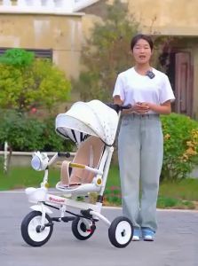 LIWAN | Multi-Functional Foldable Tricycle With Music Play