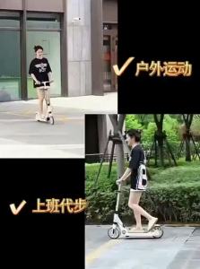 maiduomi | Foldable Adult Scooter