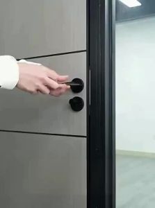 FALEISTON | Fingerprint and Password Smart Lock