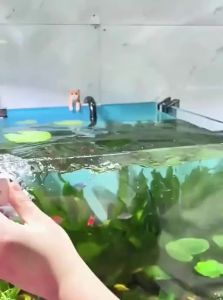 VOA | Algae Scraper and Cleaning Tool Magnetic Fish Tank Brush