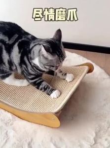 YANXIAOFU | Durable No-Shedding Cat Scratching Post with Nest Four Seasons