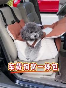 QUEES | Pet Car Safety Bed