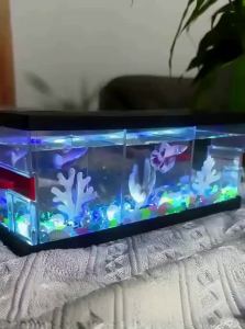 HUICHONG | Separation and Breeding Fish Tank