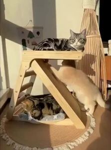 7o | Durable Non-shedding Foldable All-Season Triangular Cat Scratching Board