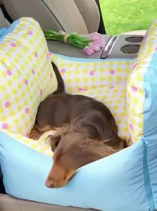ZEZE | Pet Travel Dog Bed Safety Seat Pet Sofa Warm Nest Pet Car Mat