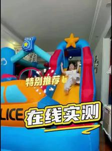 Doctor Dolphin | Inflatable Bouncer Castle