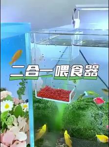 VOA | Anti-Drift Fish Feeder for Small Fish Turtles and Guppies