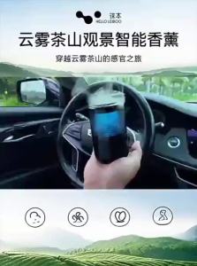 HELLOLEIBOO | Elegant Light Tea Scent Car Fragrance Decorative Ornaments