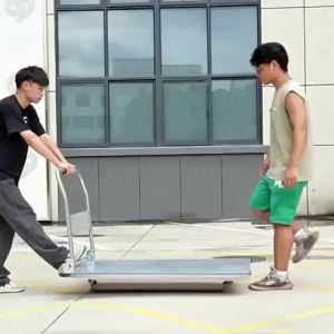 SIVASS | Foldable Home Delivery Hand Cart