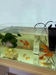HUICHONG | Smart Automatic Feeder for Aquarium Fish and Turtles