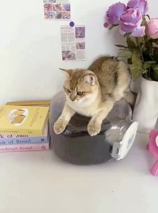 HELLOLEIBOO | Hộp Bảo Quản Thức Ăn Cho Thú Cưng Đóng Kín Dung Lượng Lớn