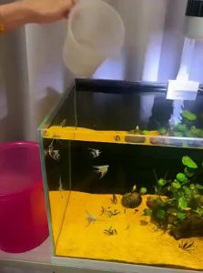 sunsun | Fish Tank Cleaning Siphon Vacuum