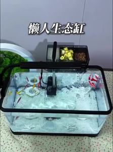 KUOTING | Bộ Lọc Bể Cá Để Bàn Tích Hợp Sản Sinh Oxy