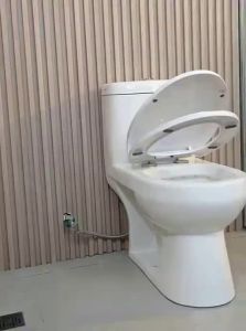 TAOSHI | Thickened Toilet Seat Cover with Slow-Closing Feature
