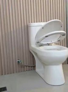 TAOSHI | Thick Damping Toilet Seat Cover UVO Type